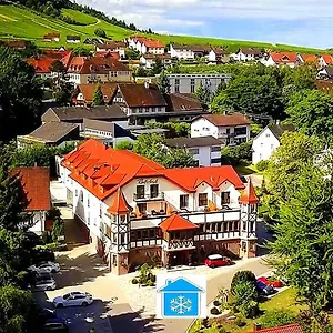 Hotel Rebstock